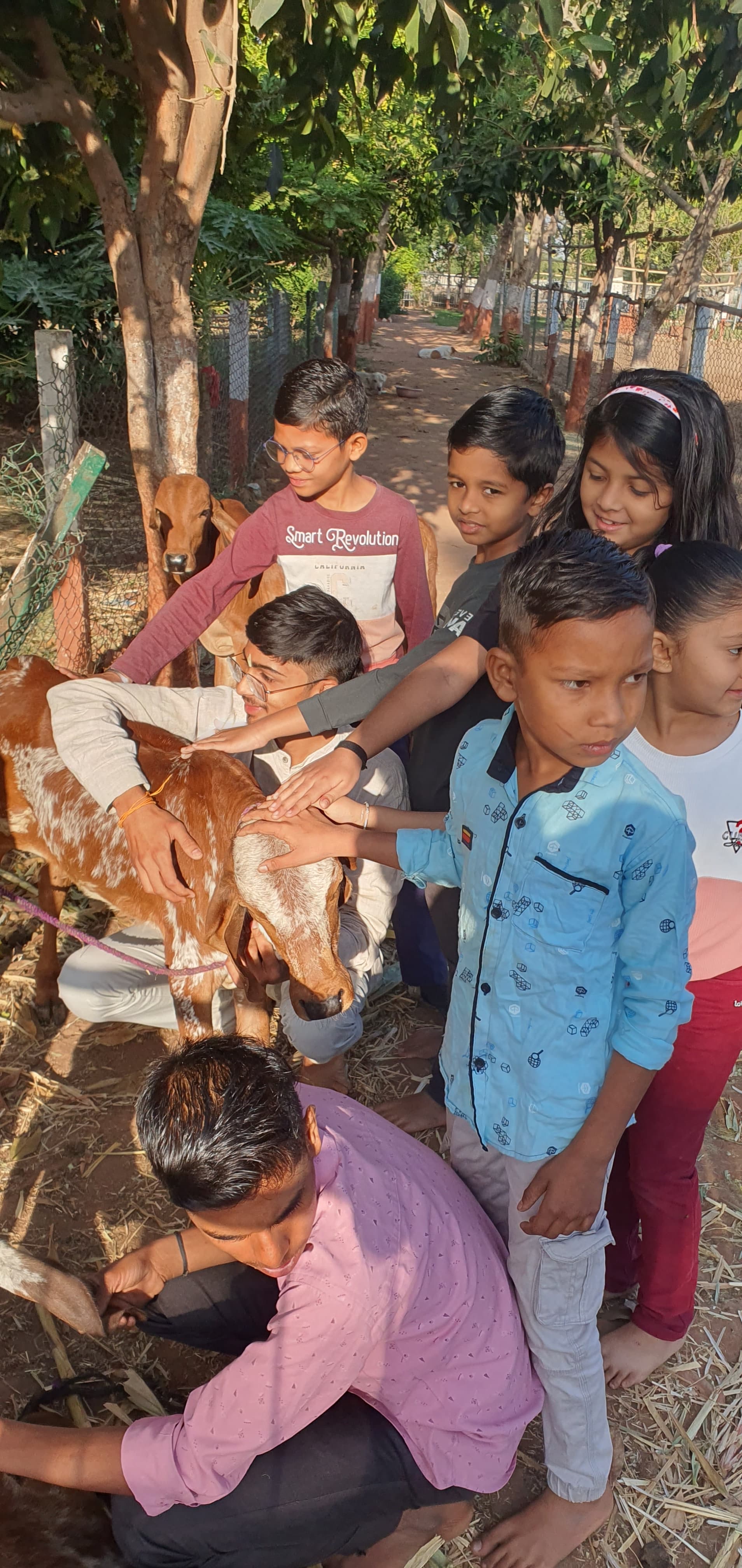 देशी गायों की सेवा करें और उनके बारे में जानें, उनके सांस्कृतिक महत्व को समझें और उनके साथ खेलें।
